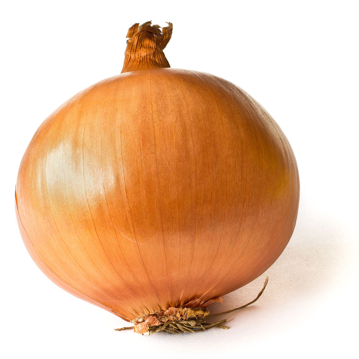 Onion5