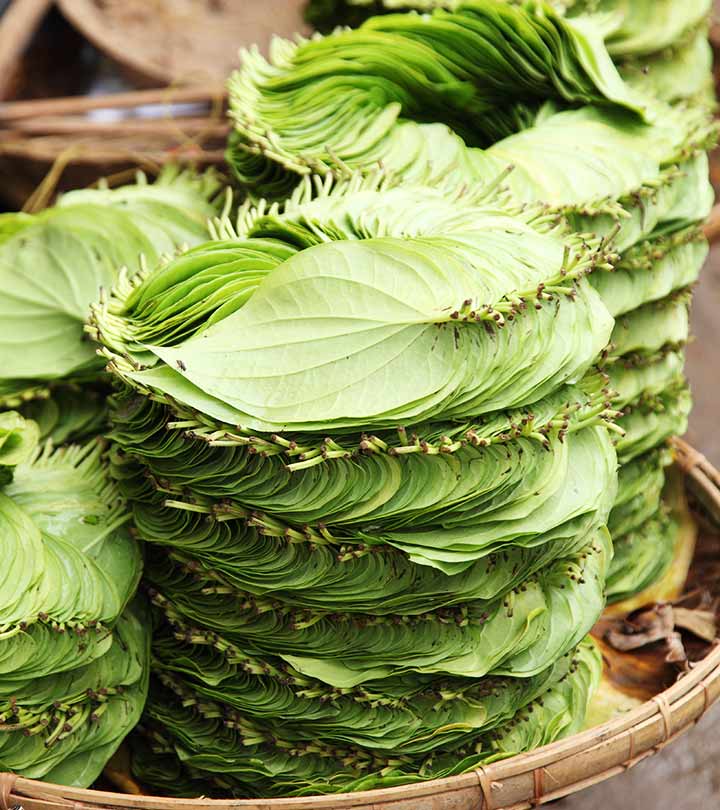 23-Amazing-Medicinal-Uses-Of-Betel-Leaf-Paan-Ka-Patta